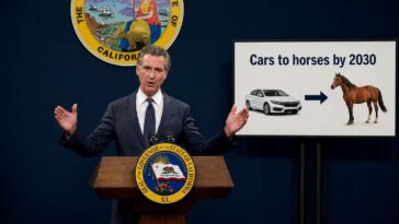 newsom-signs-law-requiring-all-cars-to-be-horses-by-2030