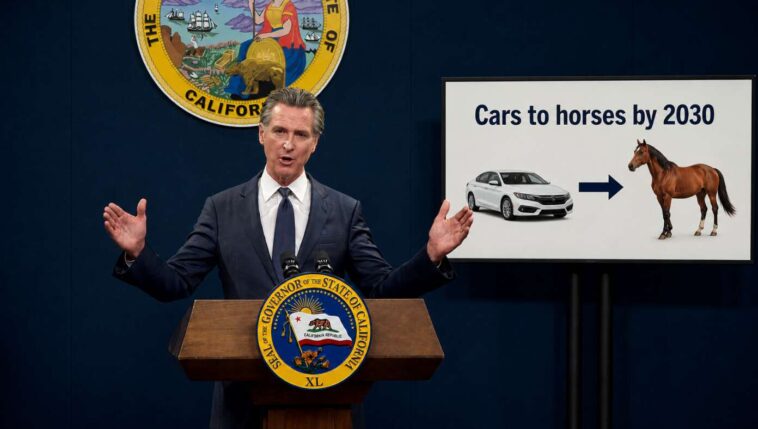 newsom-signs-law-requiring-all-cars-to-be-horses-by-2030