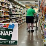 trump’s-bill-prompts-steep-snap-enrollment-decline-—-including-over-50%-in-one-state