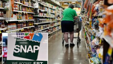 trump’s-bill-prompts-steep-snap-enrollment-decline-—-including-over-50%-in-one-state
