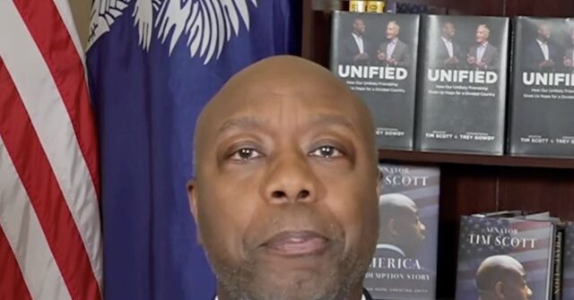 tim-scott:-i’m-‘very-confident’-republicans-will-keep-senate