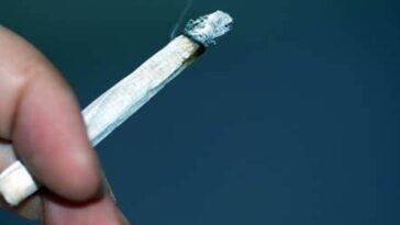 yikes:-alarming,-potentially-fatal-condition-known-as-“scromiting”-surging-in-teen-and-young-adult-cannabis-users