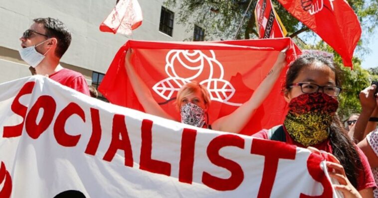 the-infinite-circle-of-the-socialist-idiot