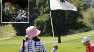 housing-project-on-woodland-hills-country-club-hits-major-road-block-due-to-mountain-lions