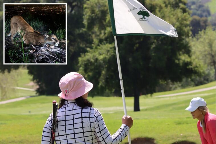 housing-project-on-woodland-hills-country-club-hits-major-road-block-due-to-mountain-lions