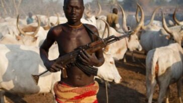 nigeria-christian-community-leader-alleges-land-grab-agenda-behind-massacres