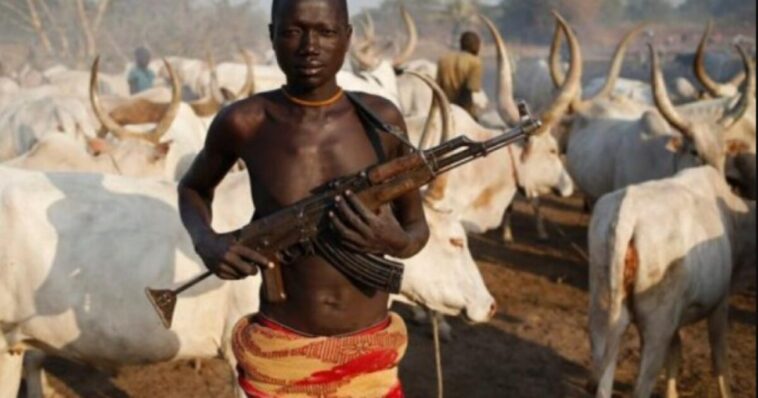 nigeria-christian-community-leader-alleges-land-grab-agenda-behind-massacres