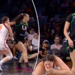 wnba-star-dearica-hamby-ejected-after-elbow-to-opponent’s-face,-defends-herself-to-fan