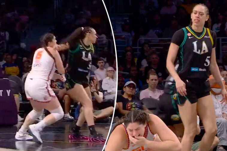 wnba-star-dearica-hamby-ejected-after-elbow-to-opponent’s-face,-defends-herself-to-fan