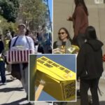 activists-descend-on-billionaire-chris-larsen’s-san-francisco-mansion-over-flock-cameras