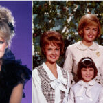 shelley-fabares,-‘johnny-angel’-singer,-‘the-donna-reed-show,’-and-‘coach’-star,-dies-at-82