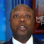 tim-scott:-‘i-am-very-confident-that-we-will-be-in-the-majority-at-the-end-of-november-this-year’