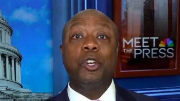 tim-scott:-‘i-am-very-confident-that-we-will-be-in-the-majority-at-the-end-of-november-this-year’