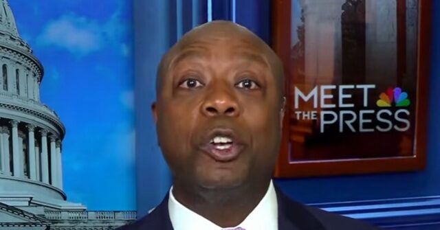 tim-scott:-‘i-am-very-confident-that-we-will-be-in-the-majority-at-the-end-of-november-this-year’
