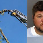 minnesota-tree-trimmer-charged-in-coworker’s-death-after-on-the-job-horseplay-turns-deadly