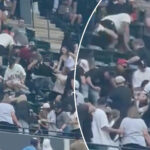 fan-leaps-down-two-rows-to-stomp-fellow-spectator-in-wild-brawl-during-mets-white-sox-game