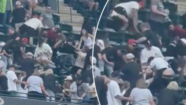 fan-leaps-down-two-rows-to-stomp-fellow-spectator-in-wild-brawl-during-mets-white-sox-game