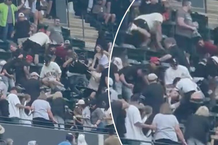 fan-leaps-down-two-rows-to-stomp-fellow-spectator-in-wild-brawl-during-mets-white-sox-game