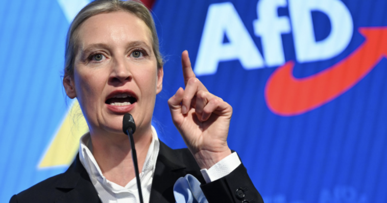 weidel-vows-to-close-germany’s-borders,-leave-schengen,-return-all-syrians,-and-leave-euro-as-afd-surges-ahead-of-state-elections