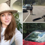 mom-of-two-killed-in-freak-accident-as-plane-making-emergency-landing-hits-her-car