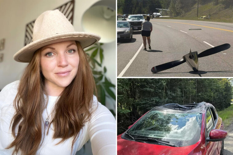 mom-of-two-killed-in-freak-accident-as-plane-making-emergency-landing-hits-her-car
