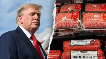 trump-wants-cheaper-beef.-republicans-in-key-races-warn-his-plan-goes-too-far