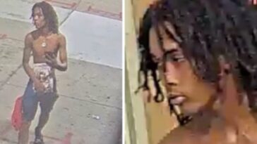 shock-video:-shirtless-youth-executes-innocent-woman-right-outside-a-detroit-liquor-store-in-‘random’-attack-–-woman’s-niece-also-injured
