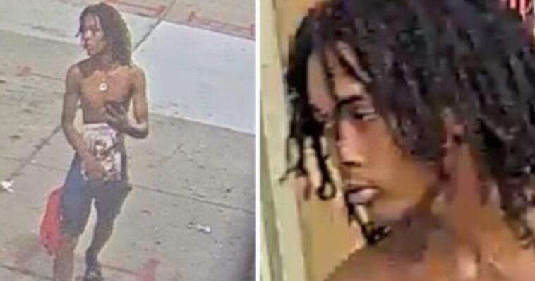 shock-video:-shirtless-youth-executes-innocent-woman-right-outside-a-detroit-liquor-store-in-‘random’-attack-–-woman’s-niece-also-injured