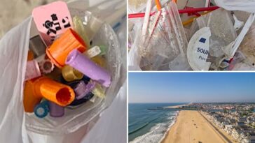 popular-new-jersey-beach-closed-after-dozens-of-syringes-wash-up-on-shore