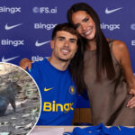 new-soccer-wag-used-chatgpt-to-help-with-bizarre-squirrel-encounter