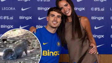 new-soccer-wag-used-chatgpt-to-help-with-bizarre-squirrel-encounter
