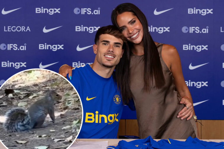 new-soccer-wag-used-chatgpt-to-help-with-bizarre-squirrel-encounter