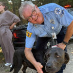 photos-—-kansas-service-dog-stayed-with-missing-three-year-old-until-they-were-rescued:-‘the-bestus-boy-ever’