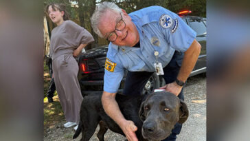 photos-—-kansas-service-dog-stayed-with-missing-three-year-old-until-they-were-rescued:-‘the-bestus-boy-ever’