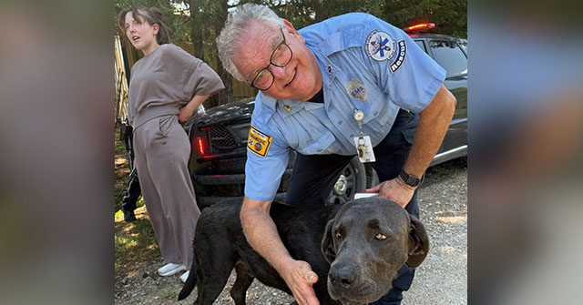 photos-—-kansas-service-dog-stayed-with-missing-three-year-old-until-they-were-rescued:-‘the-bestus-boy-ever’