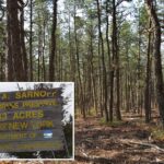 naked-man-nabbed-with-undressed-14-year-old-girl-at-long-island-nature-preserve:-cops