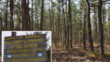 naked-man-nabbed-with-undressed-14-year-old-girl-at-long-island-nature-preserve:-cops