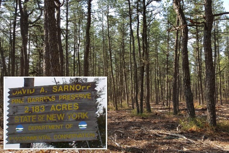 naked-man-nabbed-with-undressed-14-year-old-girl-at-long-island-nature-preserve:-cops