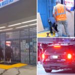 moment-masked-thugs-loot-california-stores-after-100-people-seen-loitering-on-the-street