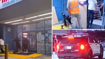 moment-masked-thugs-loot-california-stores-after-100-people-seen-loitering-on-the-street