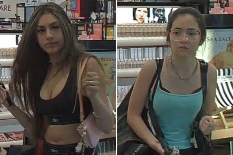 long-island-barbie-wannabes-swipe-sephora-goodies,-coach-bags-in-sticky-fingered-spree:-cops