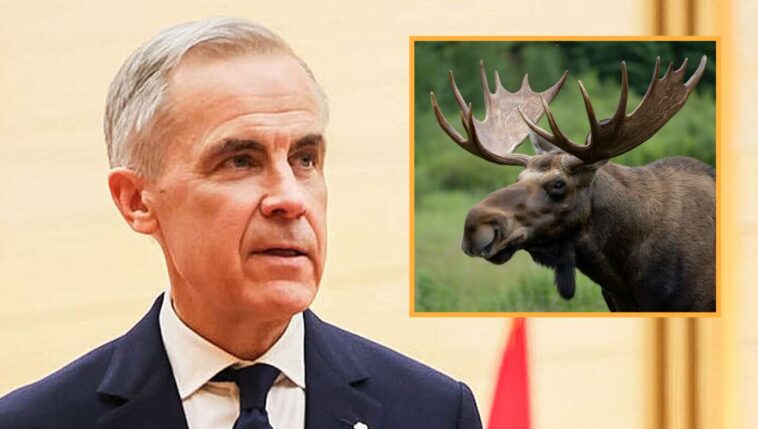 canada-vows-to-retaliate-against-trump-with-crippling-moose-tariff