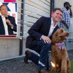 talarico-hounds-paxton-as-‘anti-puppy’-as-dems-hunt-for-scandals-that-will-stick-in-texas-senate-race