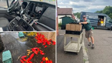 pennsylvania-community-raises-thousands-for-small-farm-after-carjacking-left-thousands-in-produce-losses