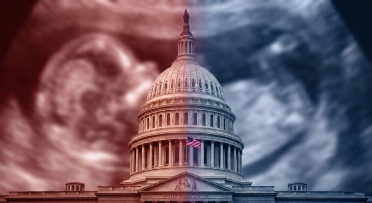 could-late-term-abortion-be-the-key-to-a-republican-midterm-sweep?-one-group-thinks-so.