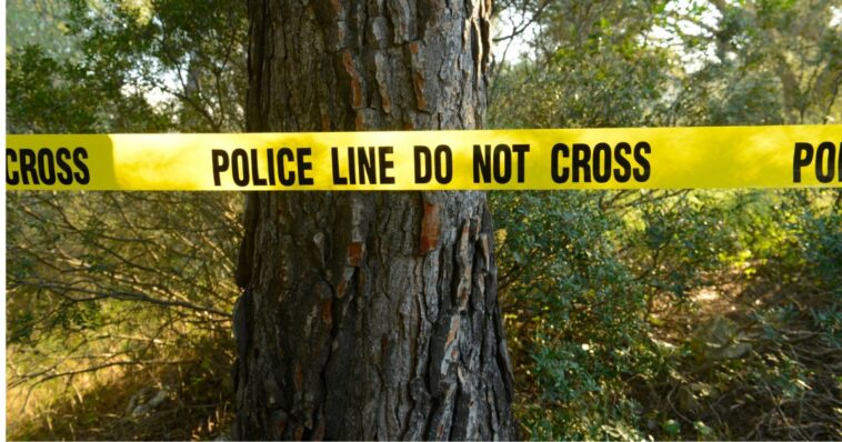 tree-trimmer-arrested-after-on-the-job-‘prank’-leaves-co-worker-dead