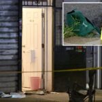 man,-33,-fatally-stabbed-steps-from-nyc-home-–-where-mom-found-him-bleeding-out:-cops,-sources