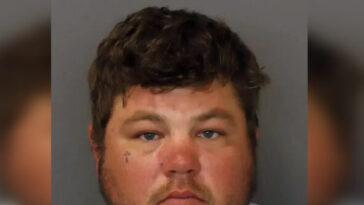 video:-tree-trimmer-accused-of-crushing-coworker’s-head-with-grapple-during-‘shadow-puppets’-game