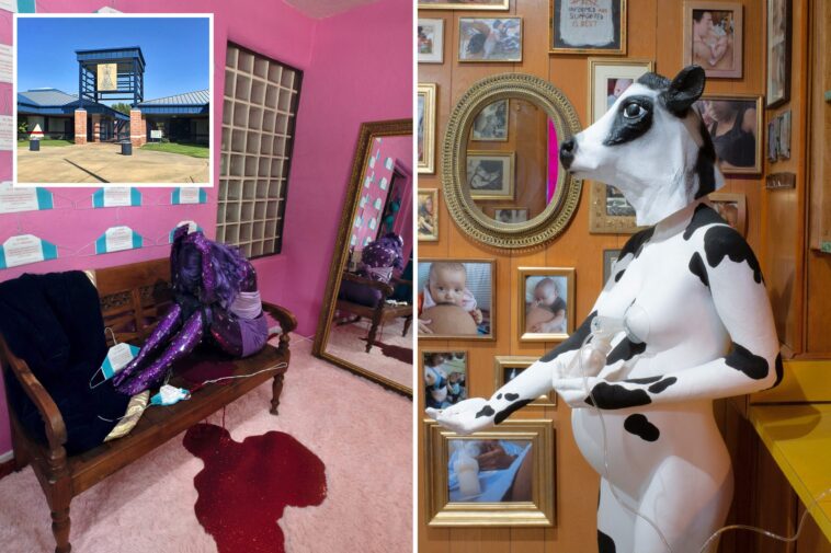 outrage-as-school-shows-kids-as-young-as-14-extremely-graphic-abortion,-sex-and-transgender-art