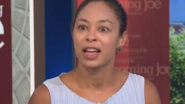 msnow-contributor-downplays-dsa-radicalism,-suggests-‘medicare-for-all’-is-popular-(video)